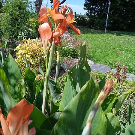 Prázdninový dům Maison En Pierre Avec Jardin Clos, 7 Pers , Calme Pres De Nantes Et Rennes