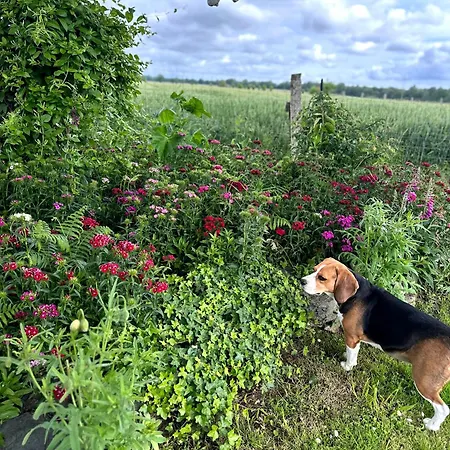 Calme, Jardin Clos, Chiens Bienvenus, Pres De Nantes *