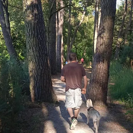 Calme, Jardin Clos, Chiens Bienvenus, Pres De Nantes Prázdninový dům Jans