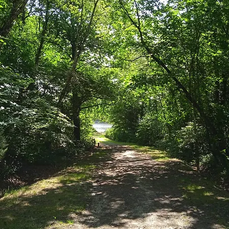 Calme, Jardin Clos, Chiens Bienvenus, Pres De Nantes * Jans